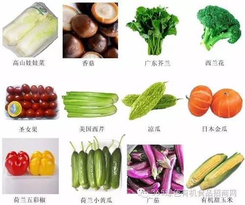 出口有机蔬菜冷冻,保鲜,罐制品加工可研报告计划书